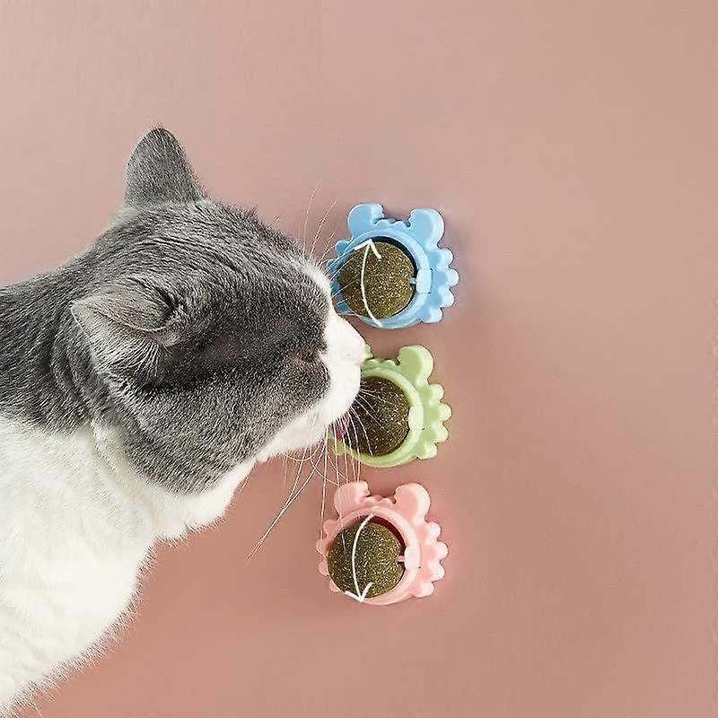 Edible Toy Ball with Catnip