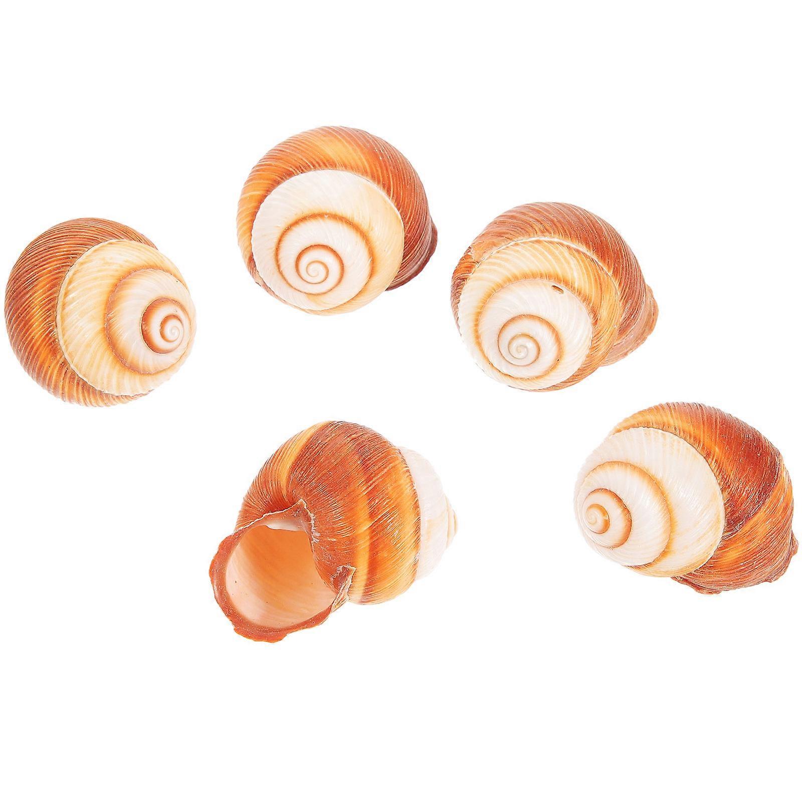 Escargot Shells for Cooking Snail Shells Heat Insulation 1.6×1.2×1.2in 5Pcs