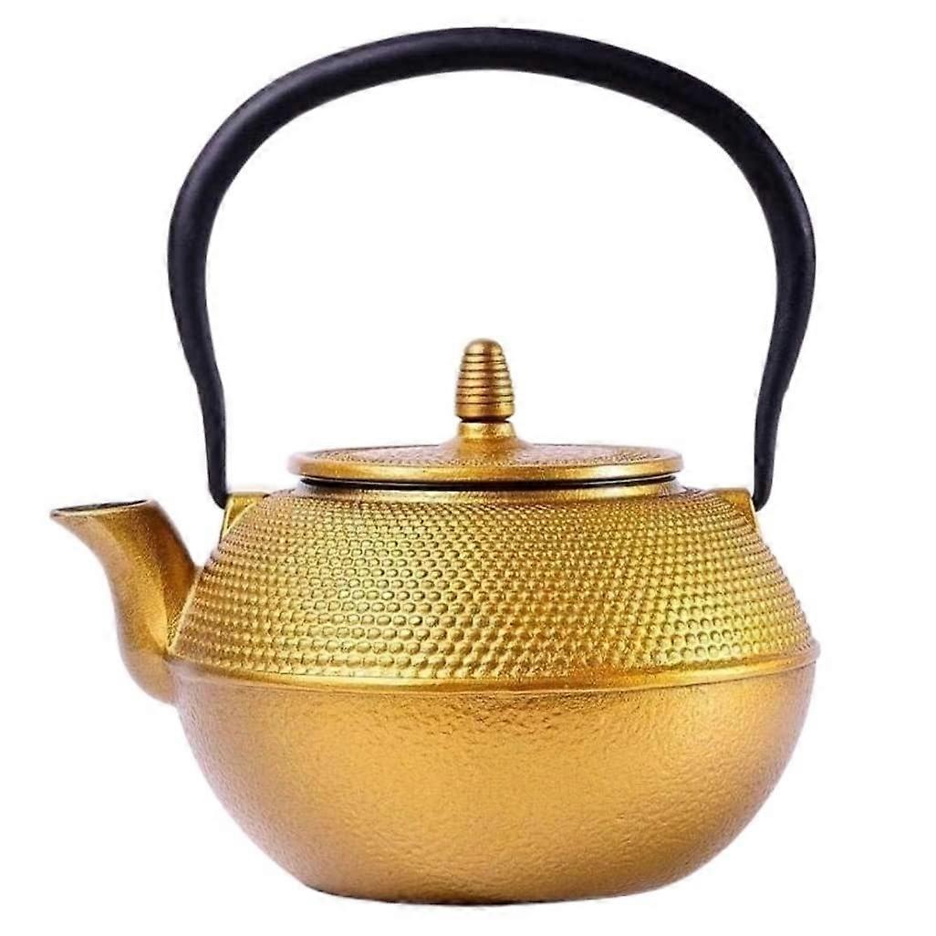 Japanese Cast Iron Teapot 1.2L Enameled Handmade Chinese Kettle