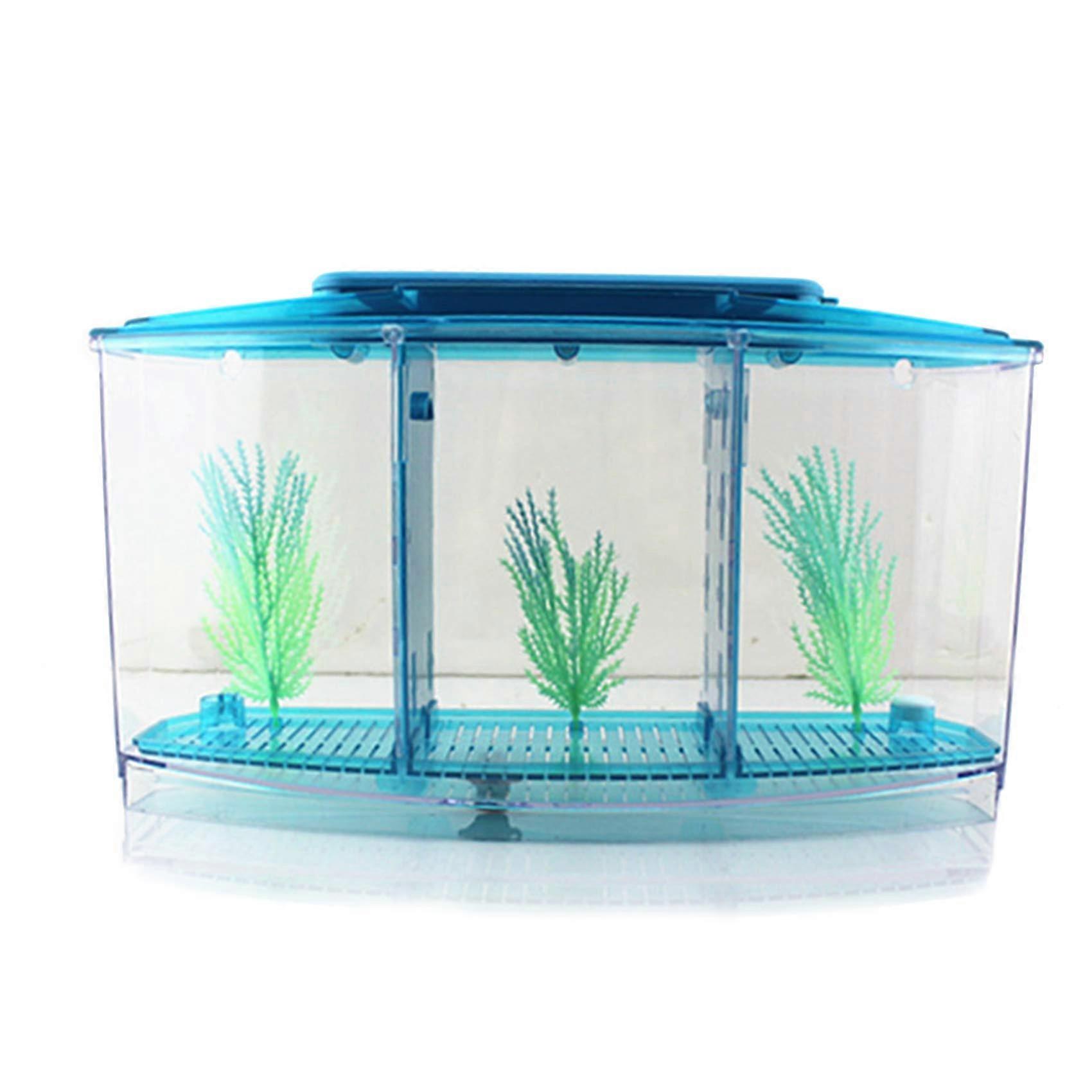 Bowl Mini Aquarium Kit Fish Breeding Hatchery Acrylic Incubator Isolation Box For Office And Home Triple-Blue