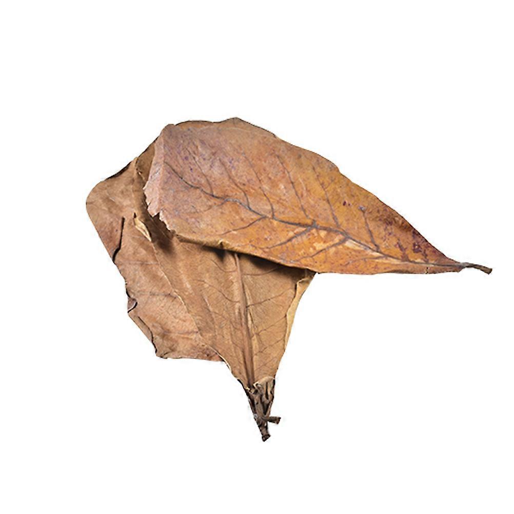 PH Changing Leaf Natural Acid Regulation 10 Pieces