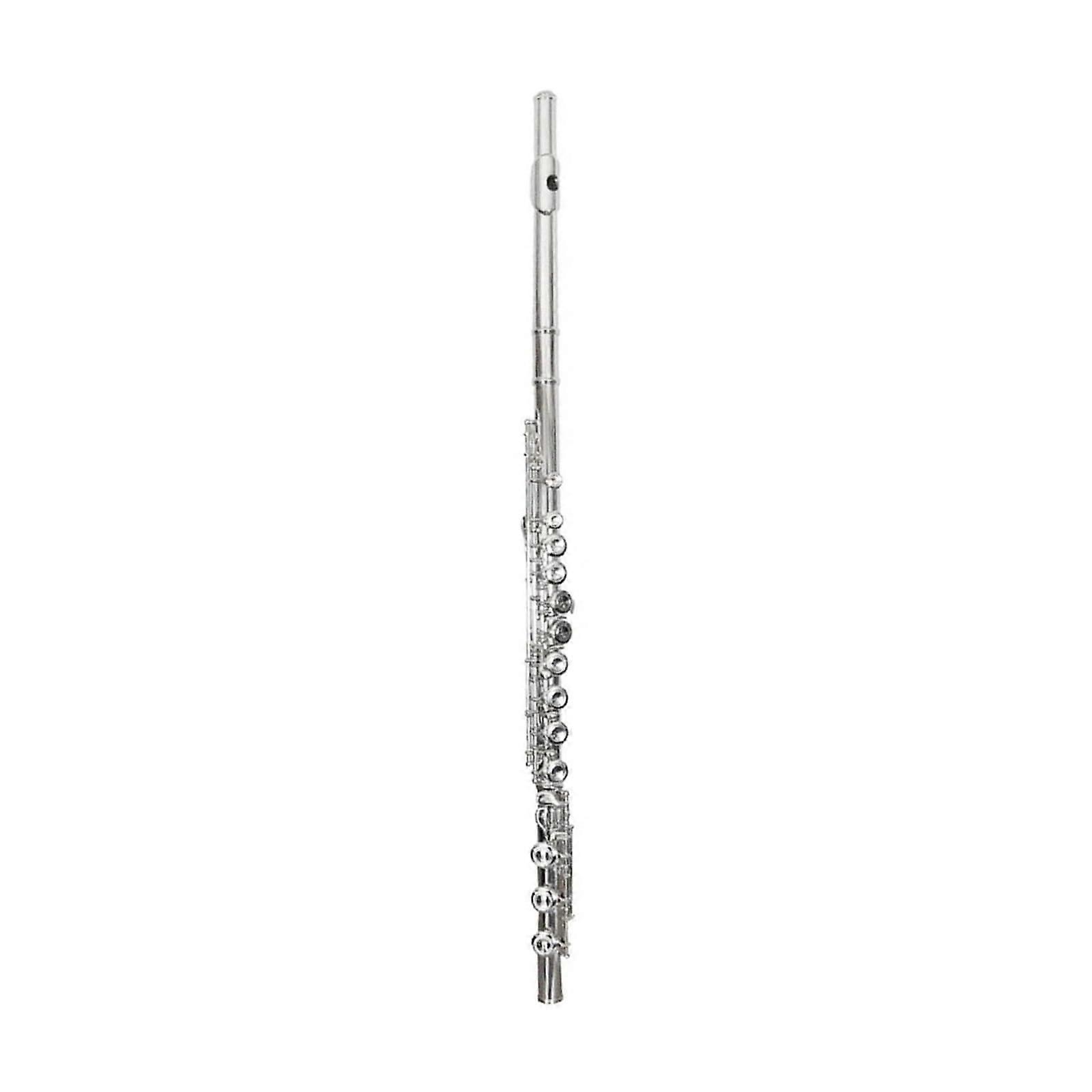 Closed Hole White Brass E Key Student Flute with Warm Tone and Smooth Playability
