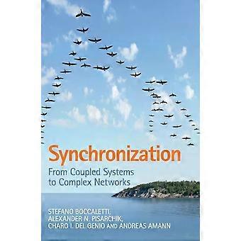 Synchronization - Stefano Boccaletti