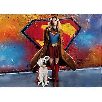 SUPERGIRL 2026 MOVIE  Jigsaw Puzzles TD226
