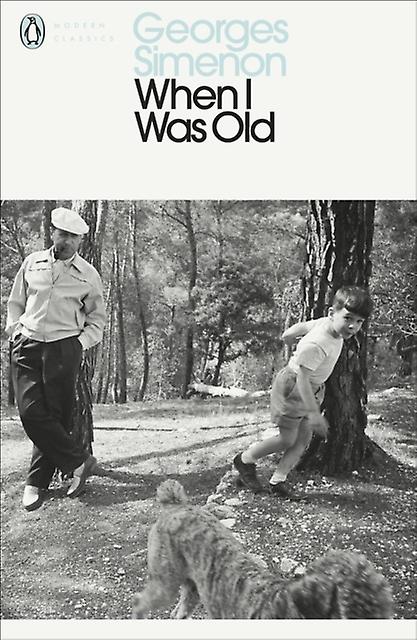 When I Was Old by Georges Simenon Paperback Book