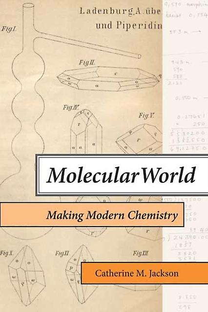 Molecular World by Catherine M. Jackson Paperback Book