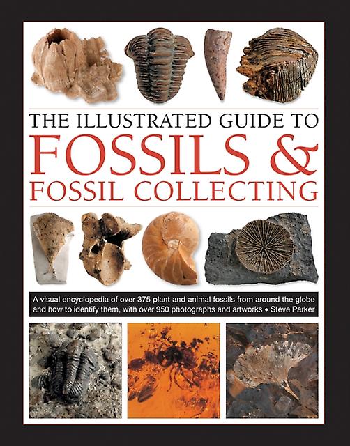 Fossils Amp Fossil Collecting The Illustrated Guide To by Steve Parker Hardback Book