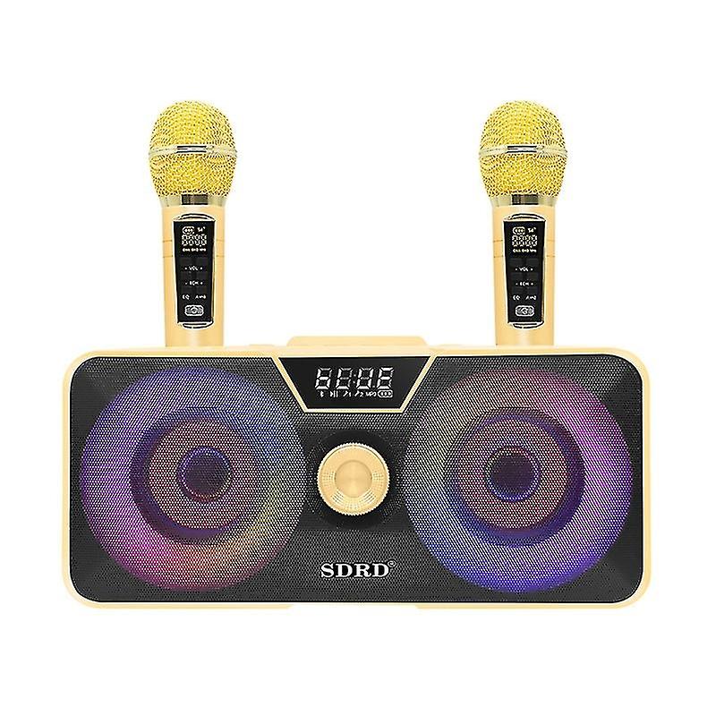 Wireless Microphone Home Karaoke Dual Microphone Mobile Bluetooth Speaker