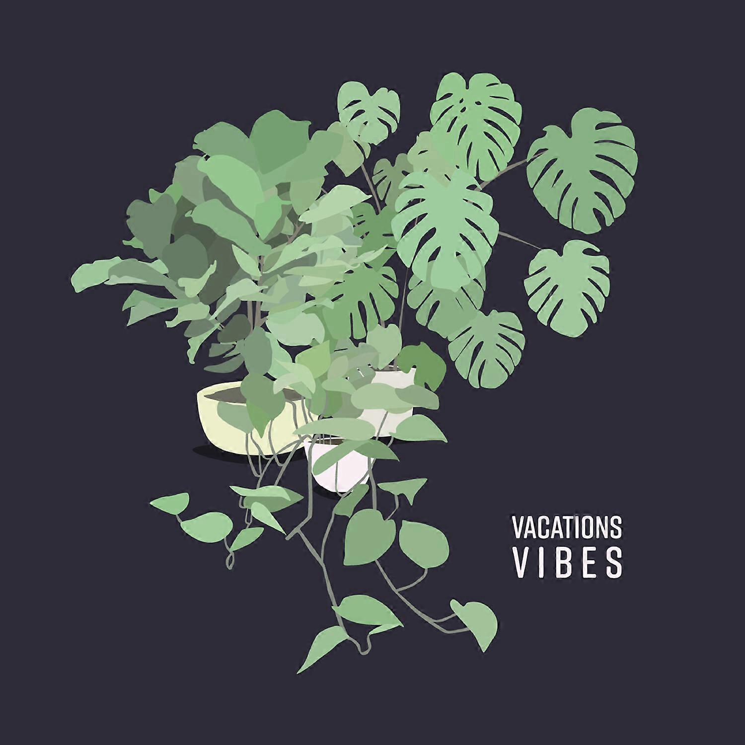 Vacations - Vibes [COMPACT DISCS] USA Import