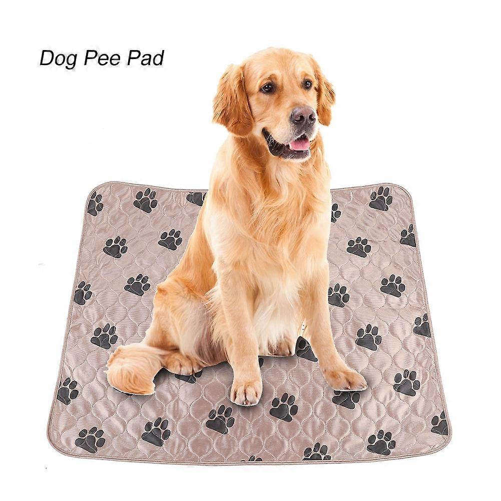 4-Layer Pet Pad with 8-Cup Absorbency for Dogs Cats - Waterproof Fashionable Pattern