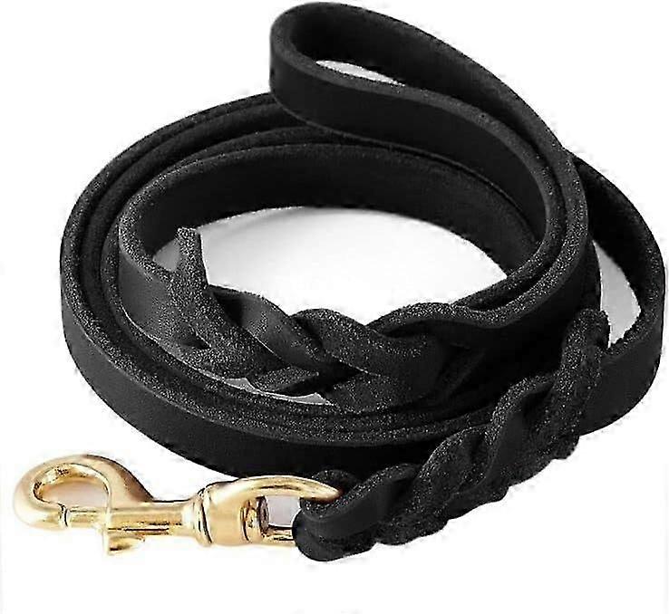 Braided Leather Dog Leash for Running and Walking, 6 Feet