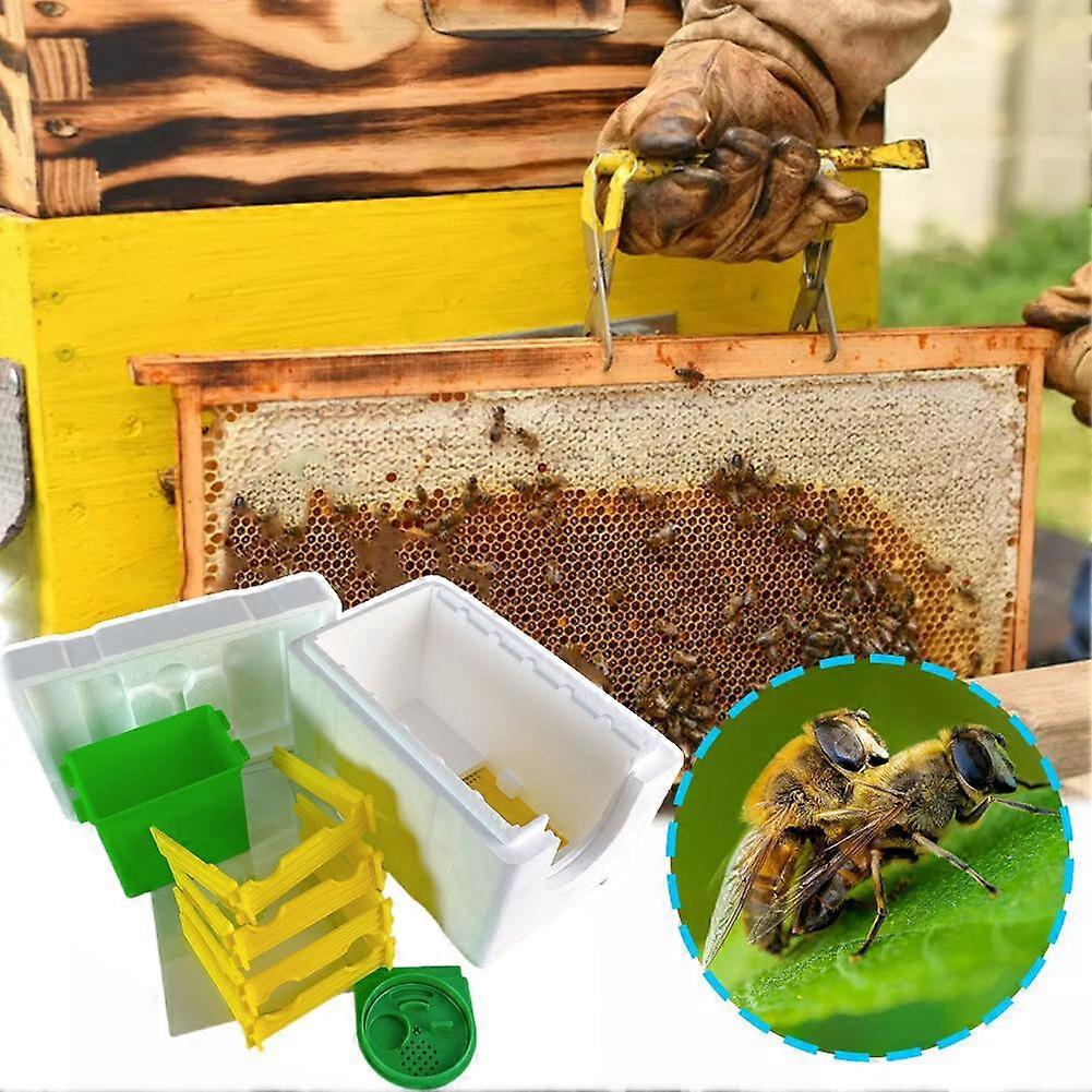 Simple Beekeeping Bee Queen Breeding Mating Nuc Harvest Pollination Hive Box
