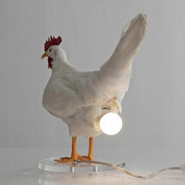Crazy Lamp Hen Laying An Egg Usb
