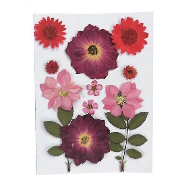 3x ekte tørkede blomster pressede blader rød krystall krysantemum