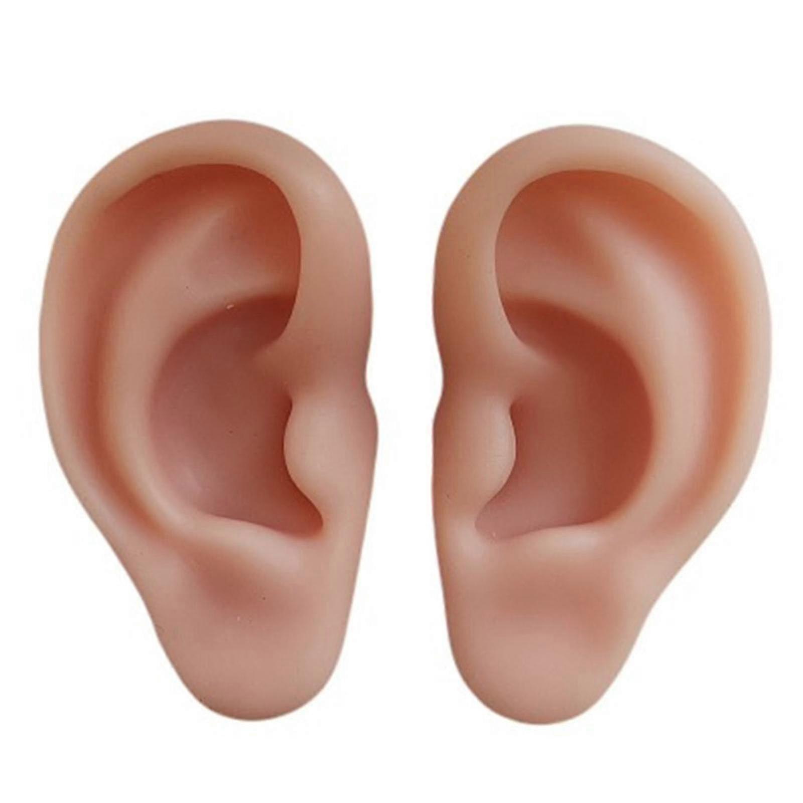 Soft Silicone Ear Model, 1:1 Highly Simulated Ear for Practicing Teaching Demonstration Suturing Tool