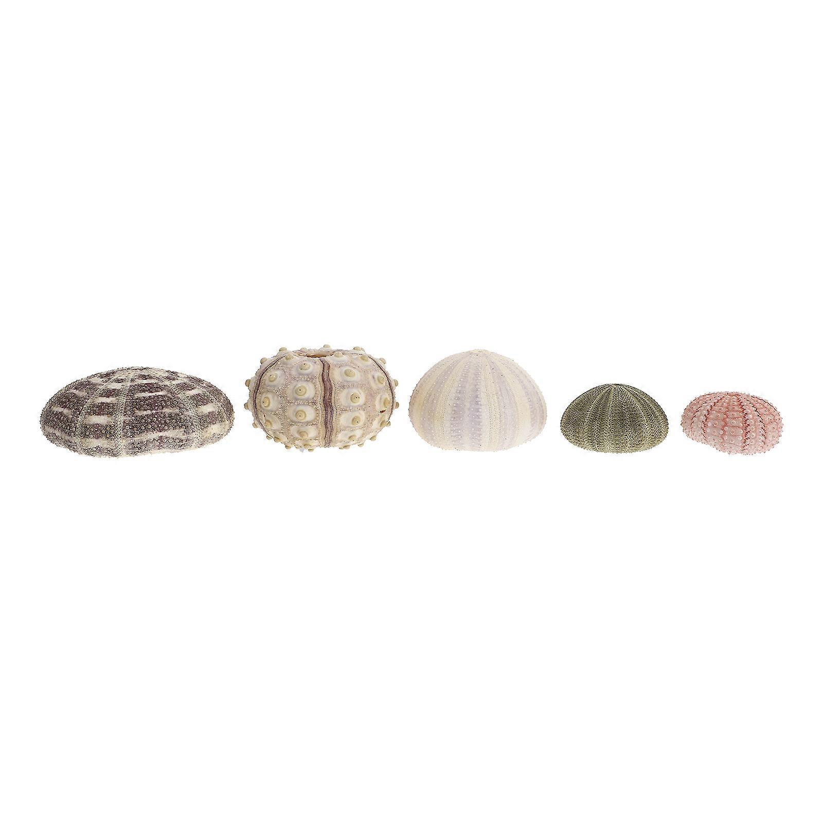 5Pcs Sea Urchin Shell Ornament Aquarium Setup 4Cm+ Assorted Color Spiky Fish Tank