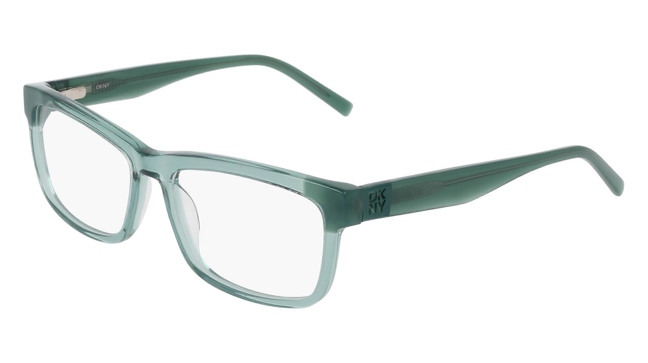 Eyewear Frames DKNY DK5083 310 CRYSTAL SAGE 54/16/140 FEMALE