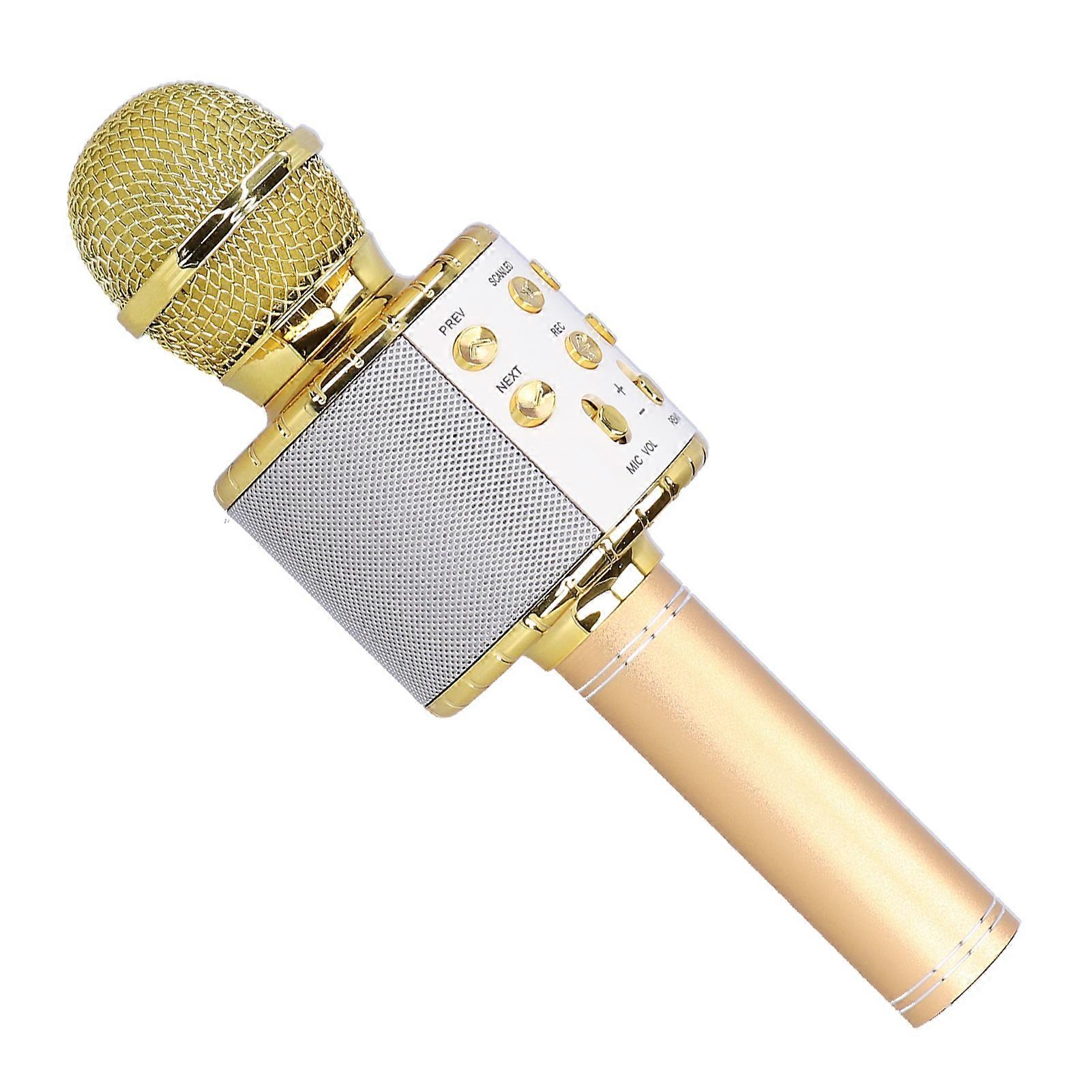 Wireless Microphone Speaker Bluetooth with LED Light Portable Handheld for Karaoke Party