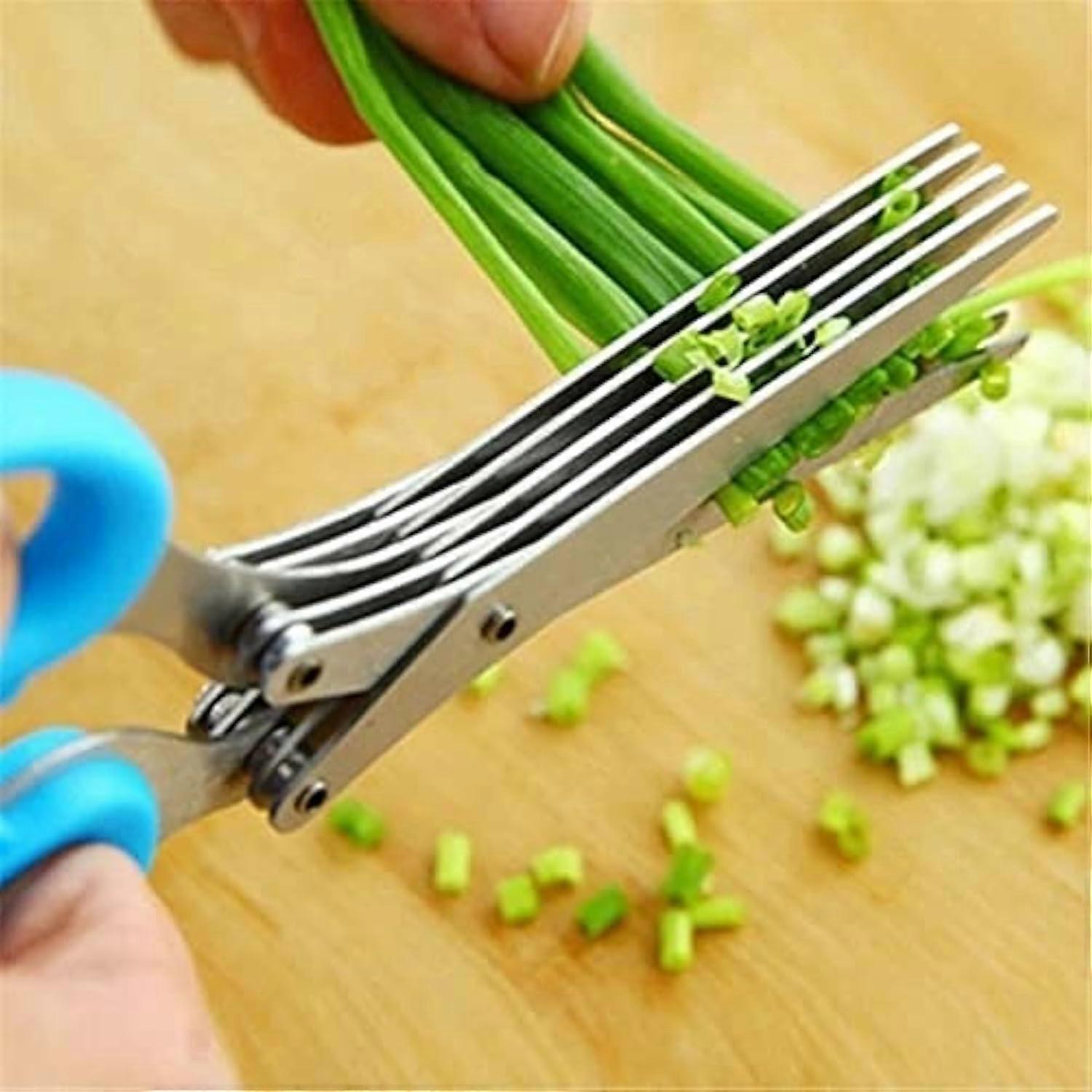 Herb Scissors Stainless Steel Multi Blade Kitchen Shears for Fast Vegetable and Herb Cutting