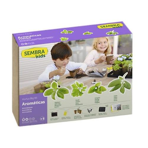 Aromatic Seeds 1 unit