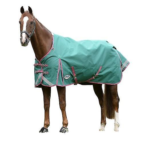 Weatherbeeta Comfitec Plus Dynamic II Standard-Neck Lightweight Horse Turnout Rug
