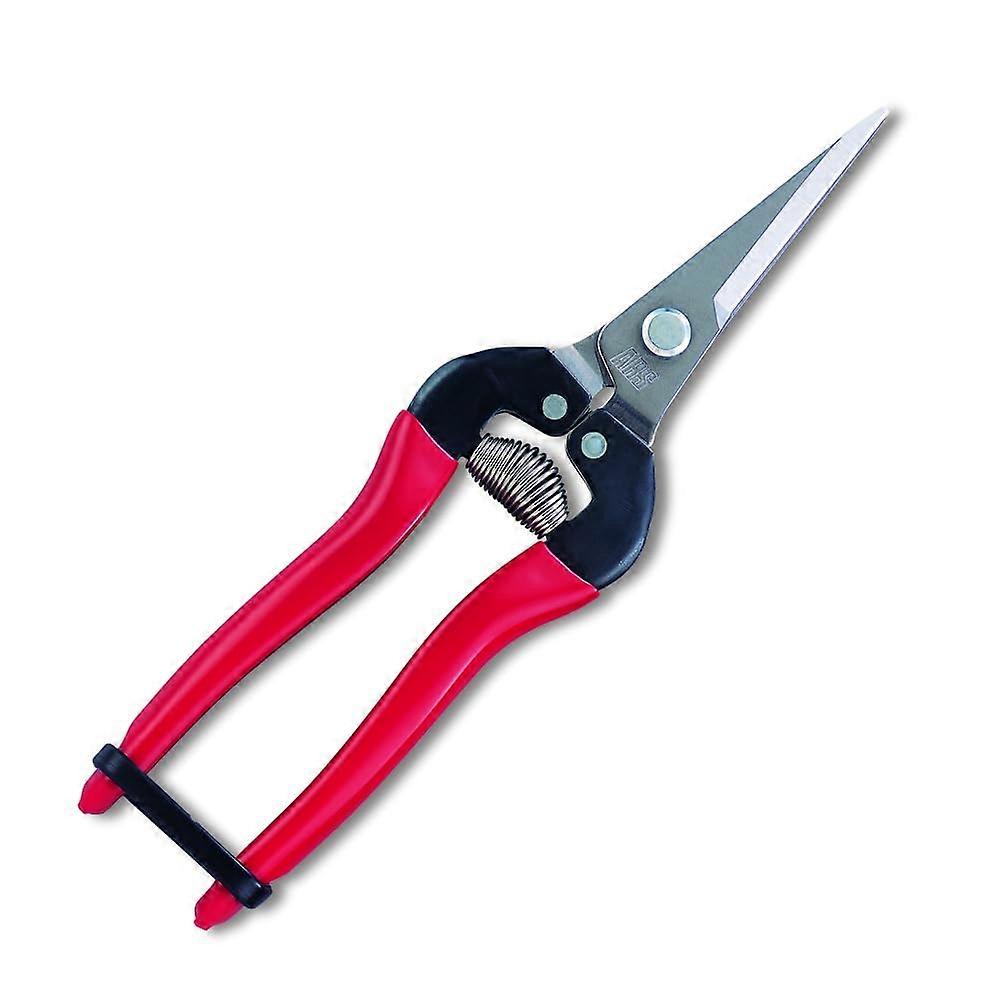 Stainless Steel Fruit Pruning Tool with Ergonomic Handle, 8-Inch Blade, and Sharp Cutting Edge for Gardening