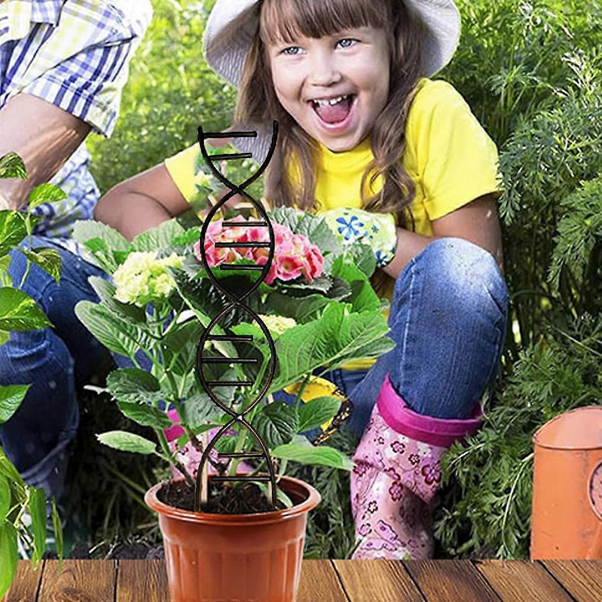 Indoor Plant Trellis, Climbing Plants, Accessories, Support