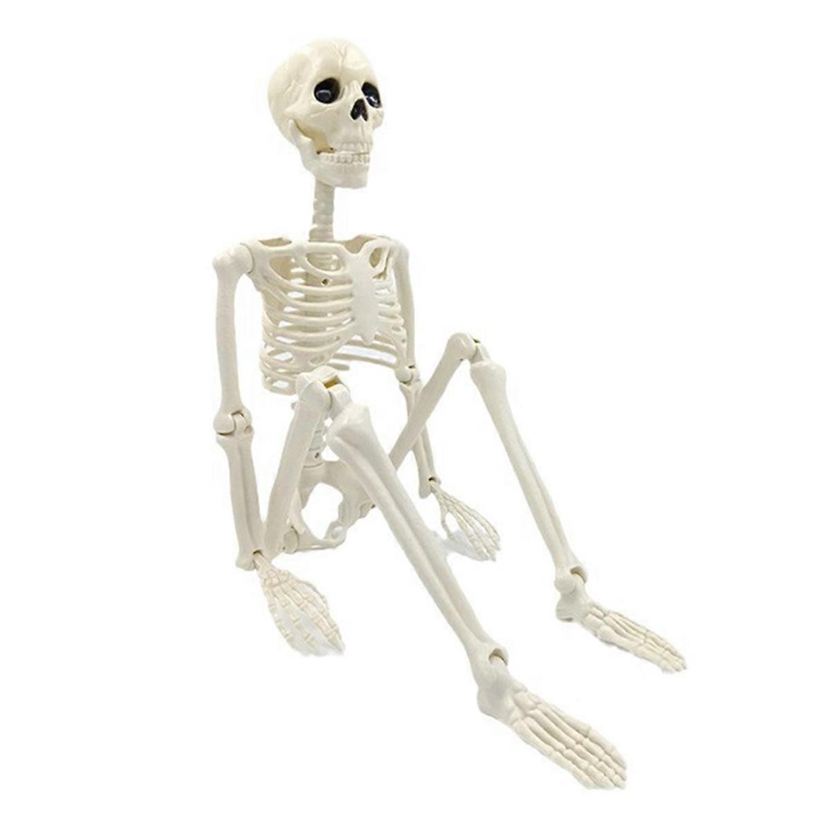 Halloween Skeleton Decoration, Posable Full Body Skeleton for Yard