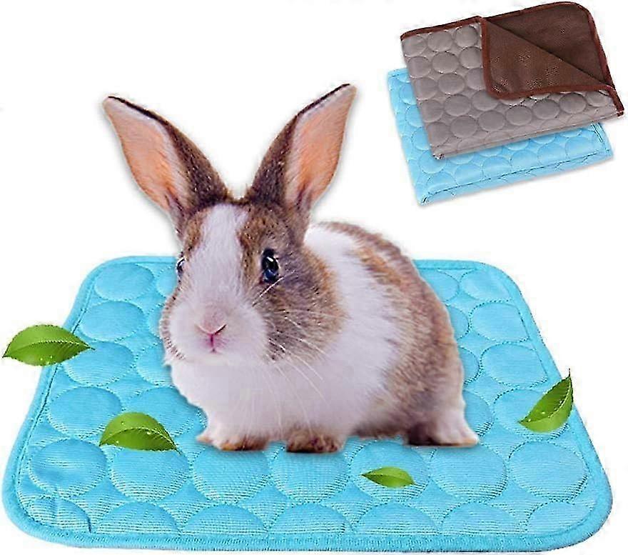 2-Pack Guinea Pig Bed Bunny Bed For Summer, Pet Cooling Mat