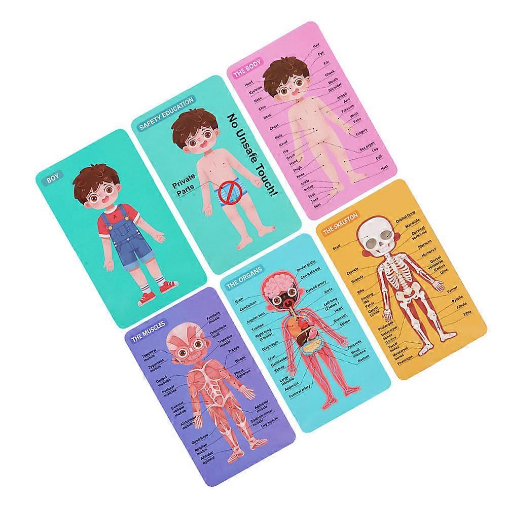 Children Body Structure Jigsaw Toy for Playing 1Set Educational Puzzle