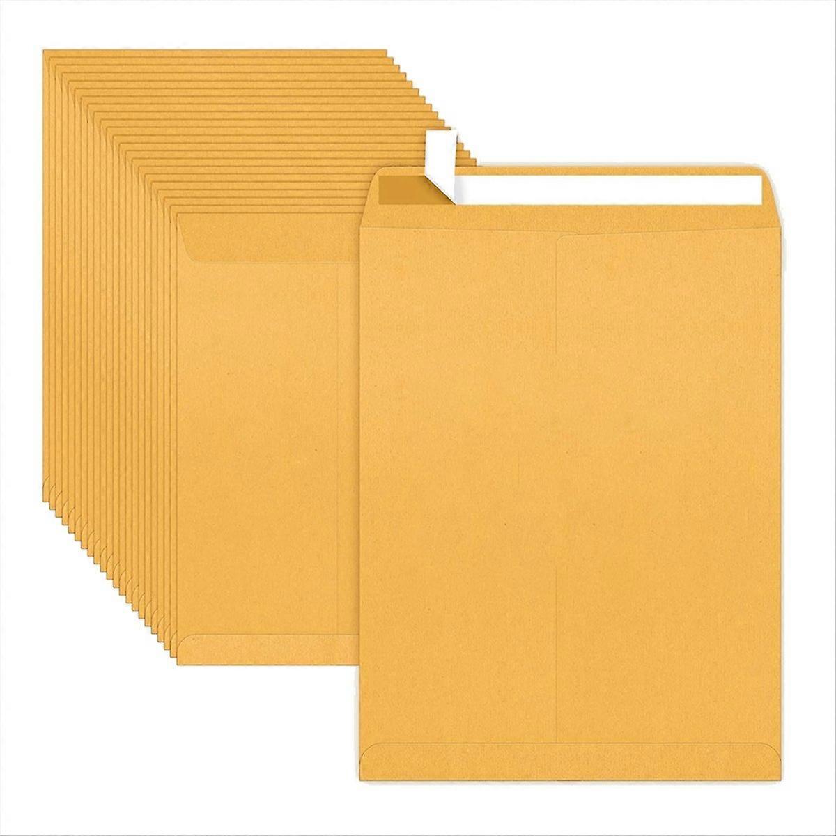 9x12inch Envelopes Self-Seal Catalog Mailing Envelopes -100 Count,