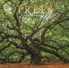 Trees Square Wall Sunday Start Calendar Calendar Book