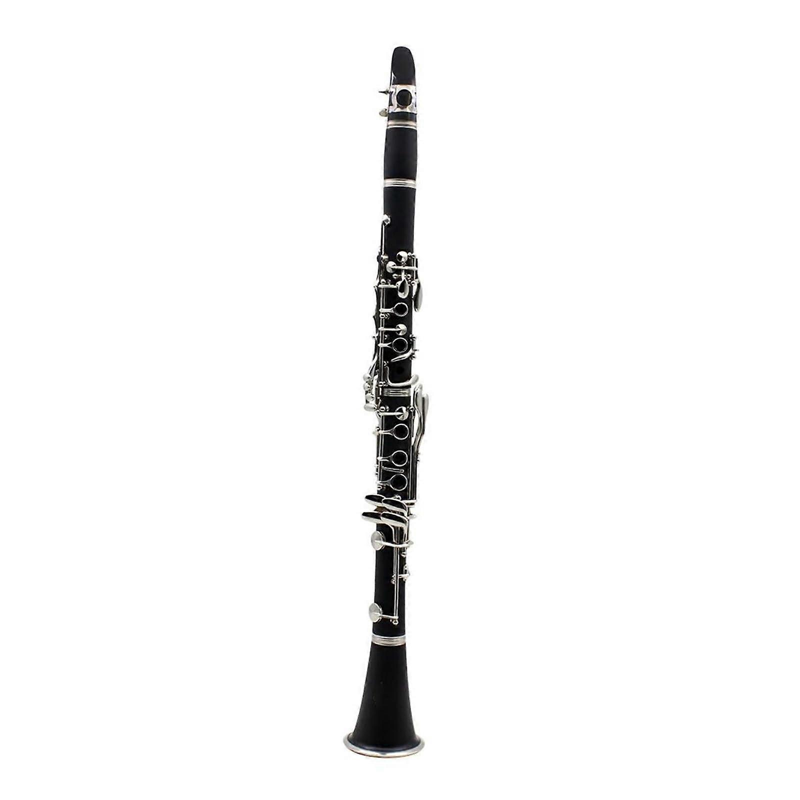 Professional 17Key B Flat Clarinet with Rich Balanced Sound and Smooth Key Action