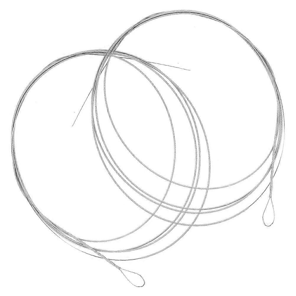 Steel Dulcimer Strings Replacement Set 2Pcs Metal Dulcimer Strings Silver
