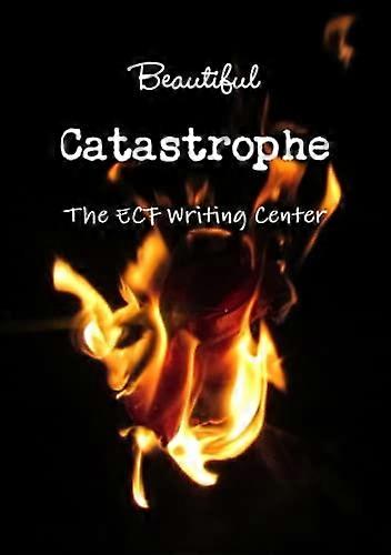 Prachtige catastrofe