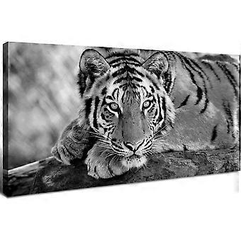 Rompecabezas antiestrés de tigre blanco y negro M012