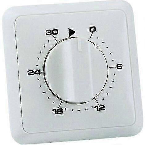 Recessed Mount Analog Day Program Timer 30 Minute