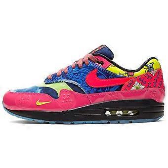 Nike Air Max 1 Premium Ep 'Longevity' CU8861-460