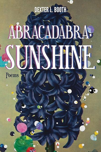 Abracadabra Sunshine by Dexter L. Booth Paperback