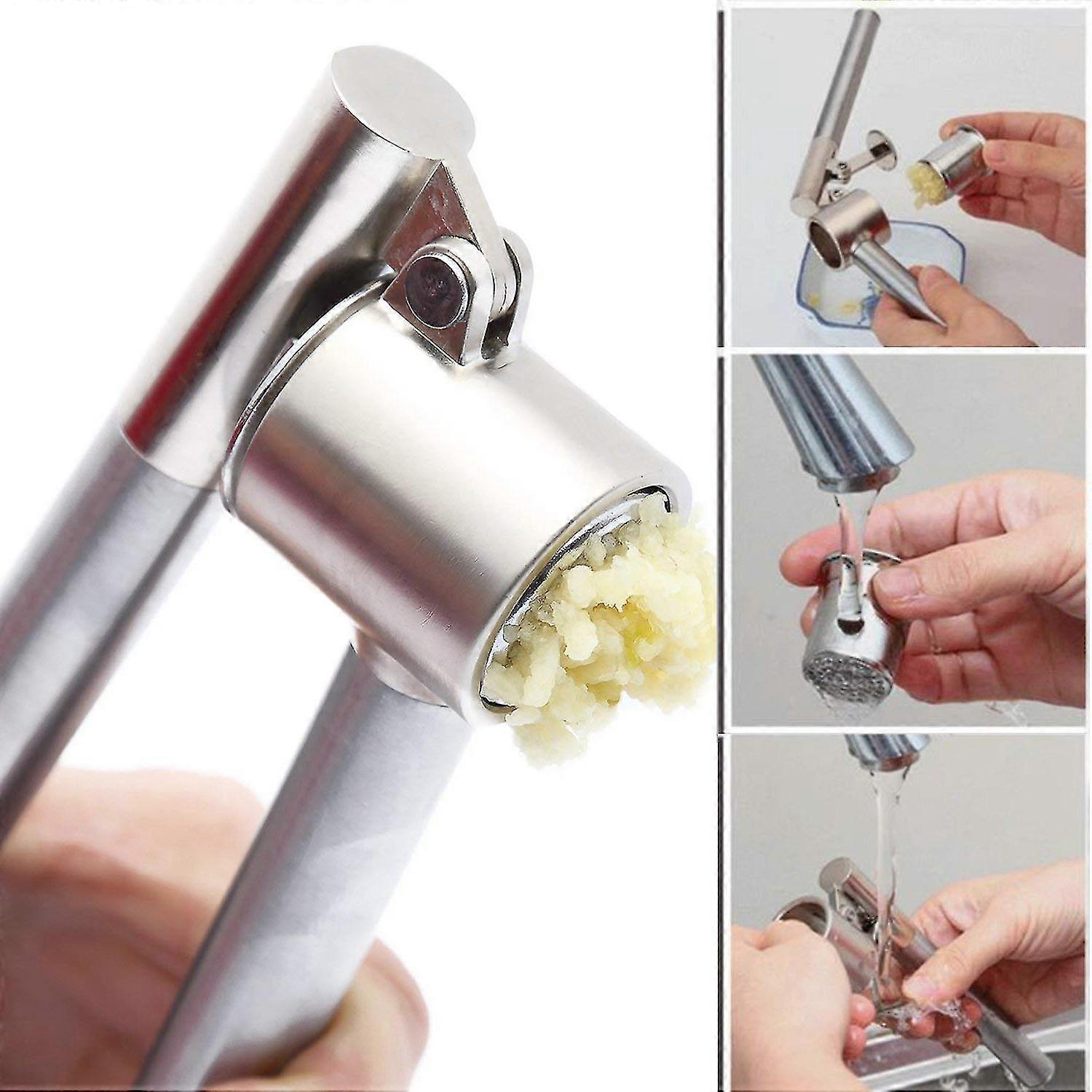 Stainless Steel Garlic Press