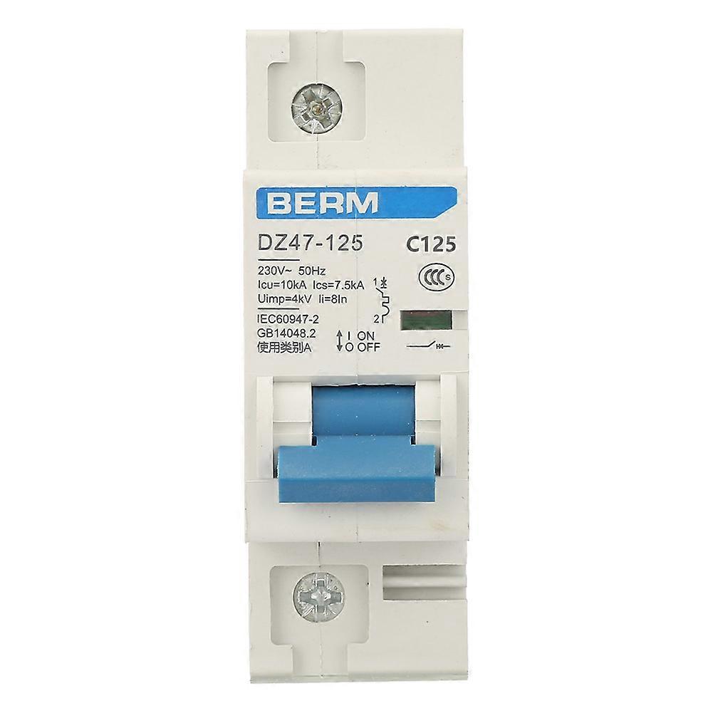 230V 80/100/125A Air Circuit Breaker DZ47-125 1P Current Miniature Circuit Breaker(125A)