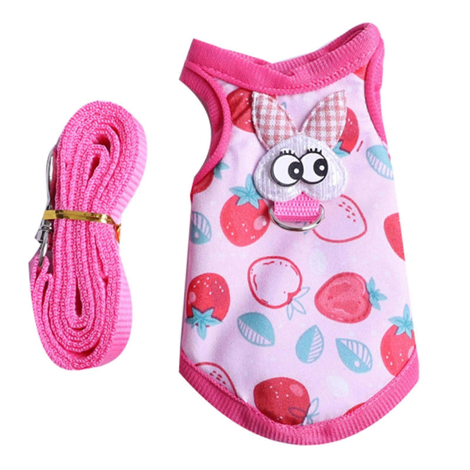 Ferret Harness and Leash Rabbit Cute Vest for Walking Hamster Chinchilla