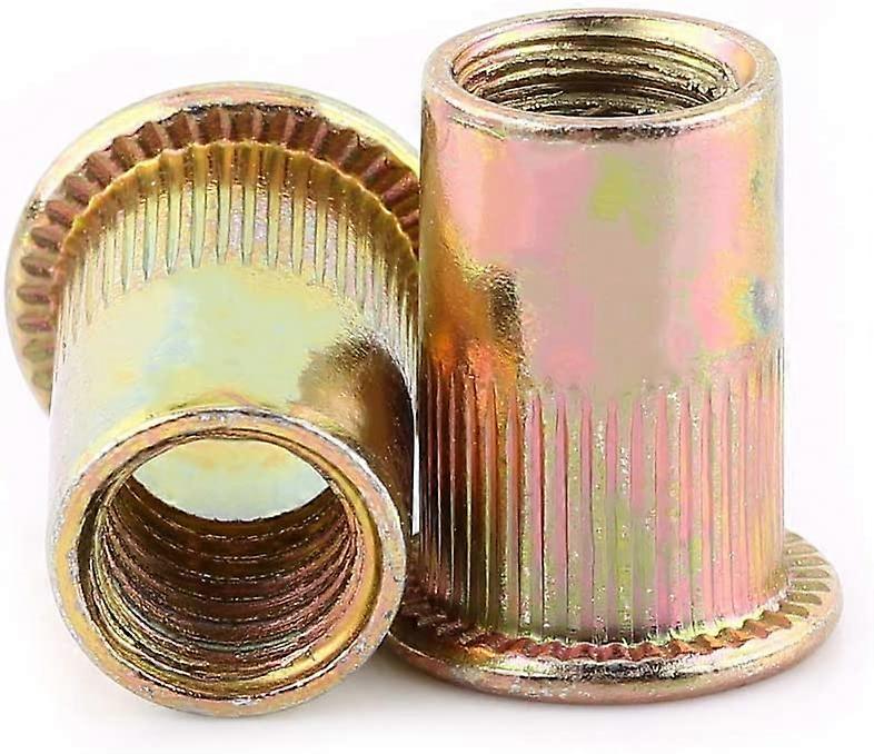 Zinc Plated Carbon Steel Metric Thread Insert Rivet Nuts Set (M6  100pcs)