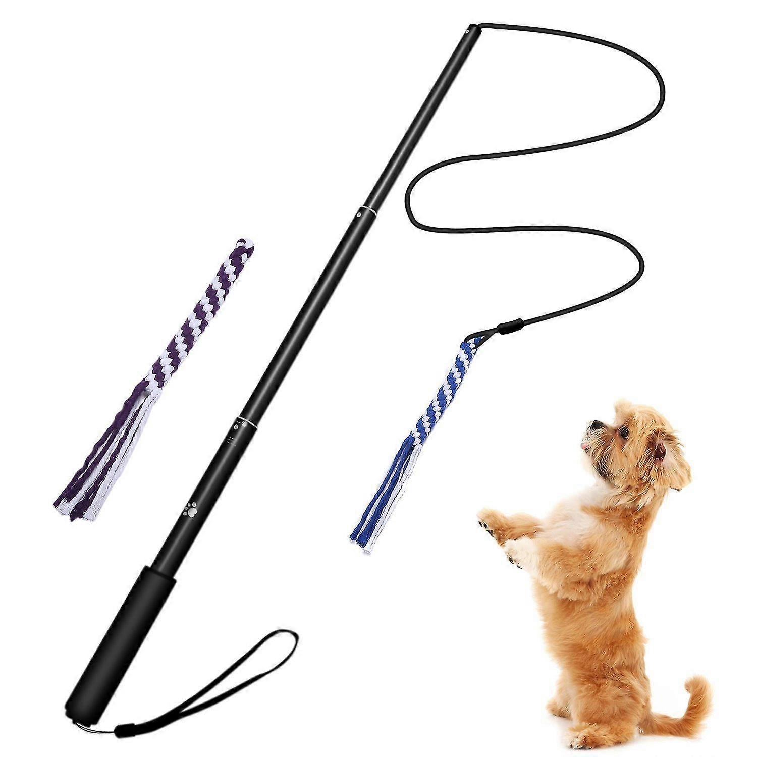 Extendable Dog Teaser Pole Wand Outdoor Interactive Flirt Pole Training Toy