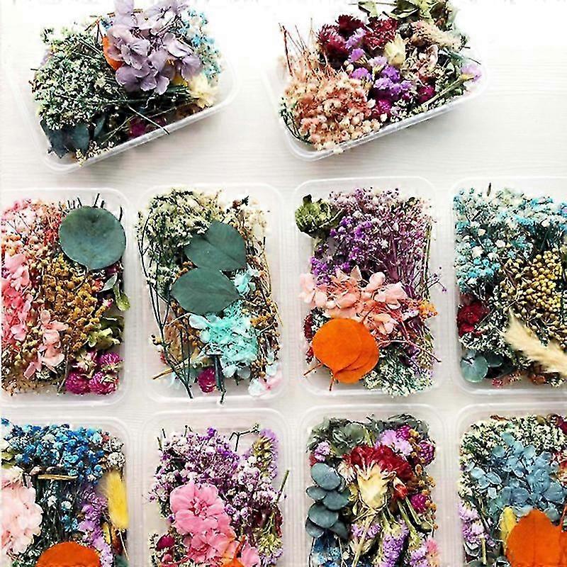 Dried Flowers Package Mixed Eternal Flowers and Foliage DIY Aromatherapy