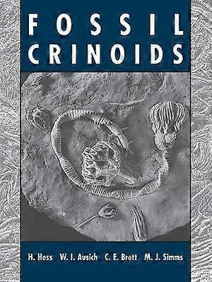 Fossil Crinoids