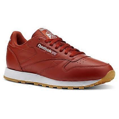 Reebok Classic Leather CN5769 universal all year men