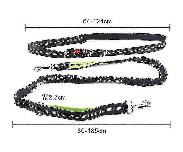 Running Handsfree Bungee Dog Leash