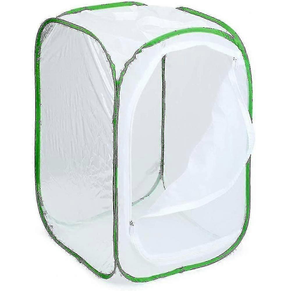 Foldable Insect Cage, Three Sizes