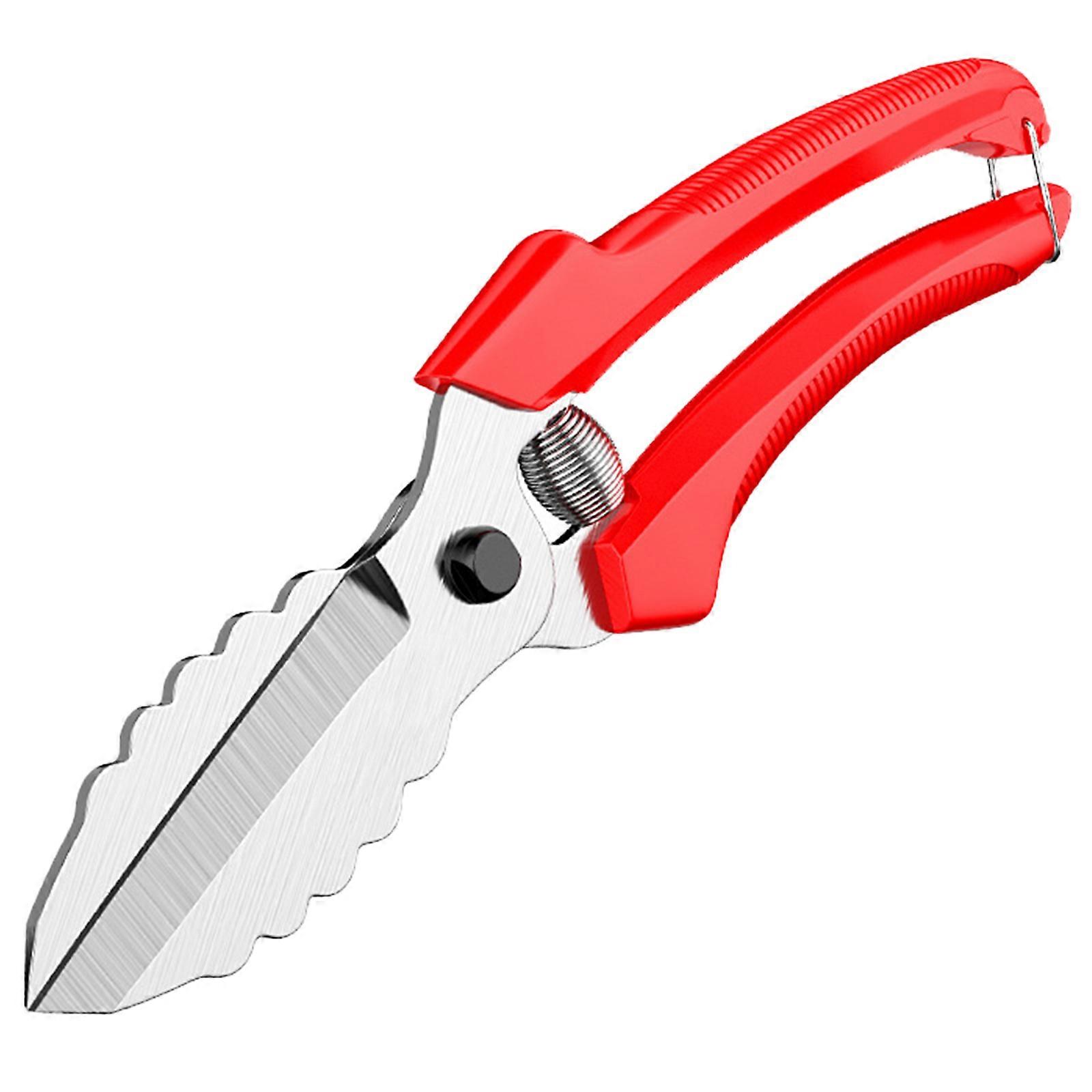Plastic Handle Garlic Scissors Big End Scissors Onion Shears Garlic Scissors Trimming Garlic Scissors